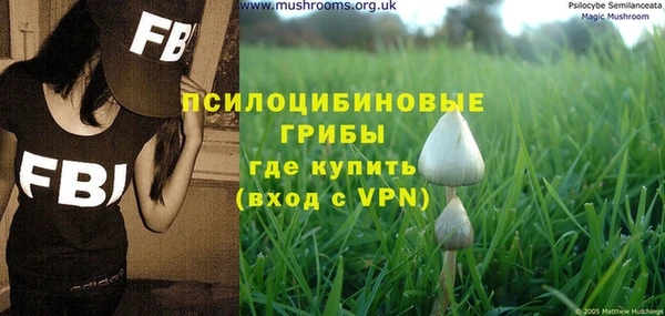 бошки Волосово