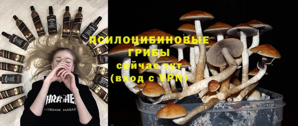 бошки Волосово