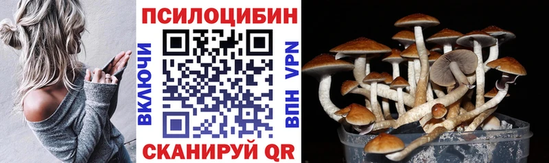 OMG рабочий сайт  Железногорск  Псилоцибиновые грибы GOLDEN TEACHER 